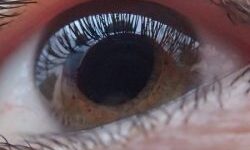 Close up of a woman's eye