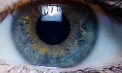 A closeup of a woman's eye